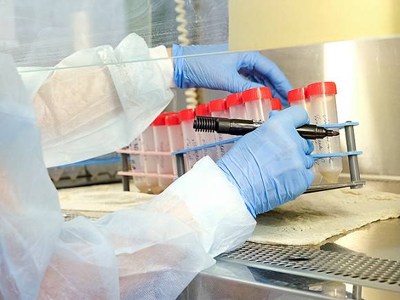 В России зафиксирована максимальная суточная заболеваемость COVID-19 с начала пандемии
