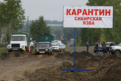 В Дагестане заподозрили вспышку сибирской язвы
