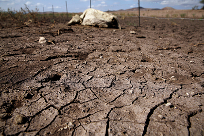 Миру угрожает глобальная катастрофическая засуха
