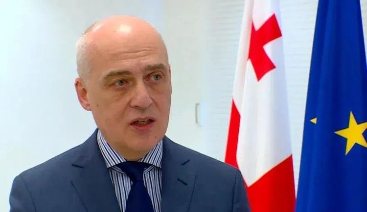 Глава МИД Грузии: "Из-за пандемии процесс делимитации границ несколько затянулся" 