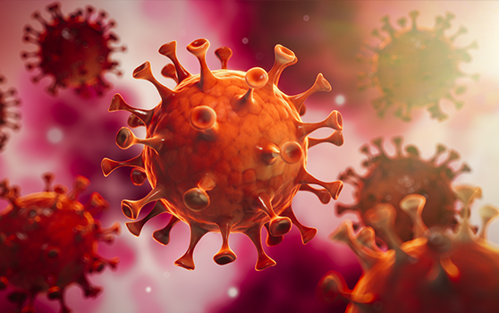 Ученые нашли новые уязвимые участки на поверхности коронавируса
