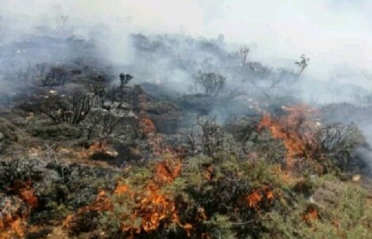 В Губе в горной местности случился пожар