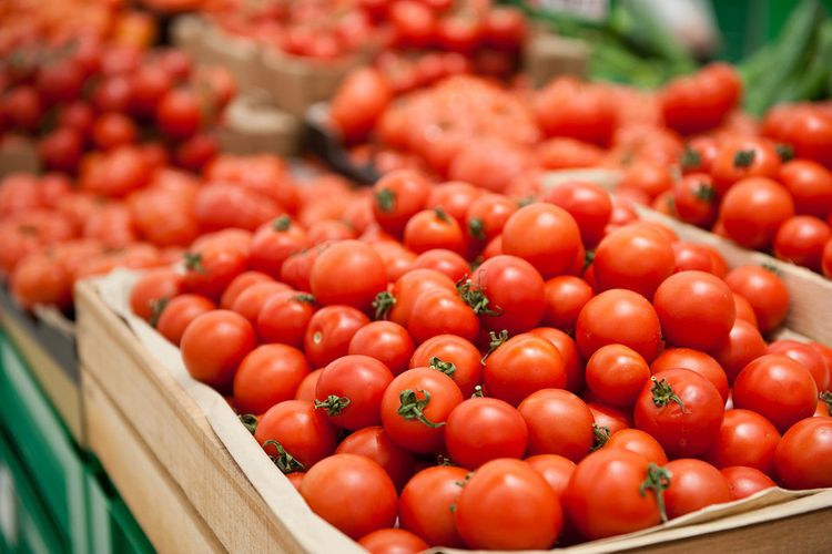 89 предприятиям Азербайджана разрешено экспортировать помидоры в Россию