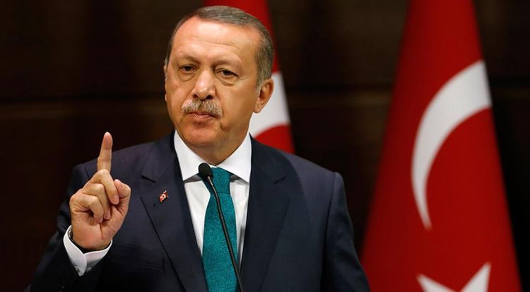 Эрдоган: Черноморский регион должен стать зоной мира и сотрудничества