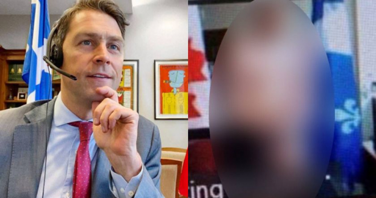 Канадский депутат появился на онлайн-заседании голым - ФОТО