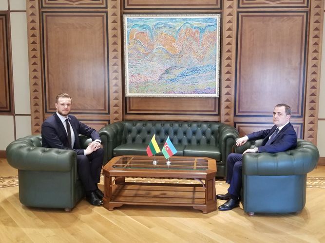 В Баку началась встреча глав МИД Азербайджана и Литвы
