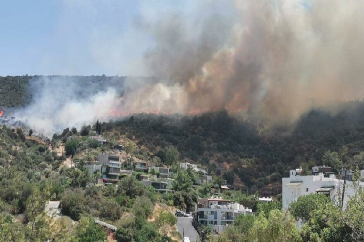 Турция выделила около $6 млн для устранения ущерба от лесных пожаров