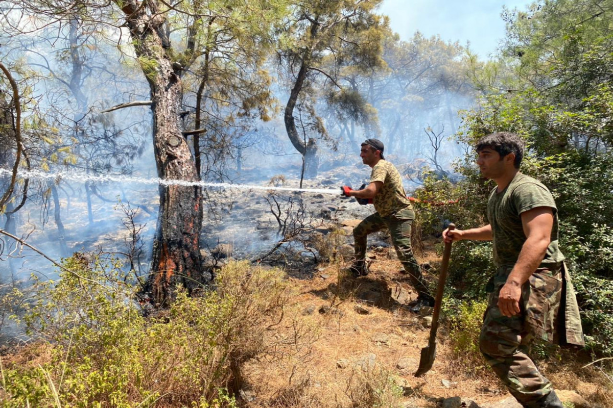 Подразделениям МЧС Азербайджана удалось предотвратить распространение пожаров в некоторых направлениях в Турции - ВИДЕО 