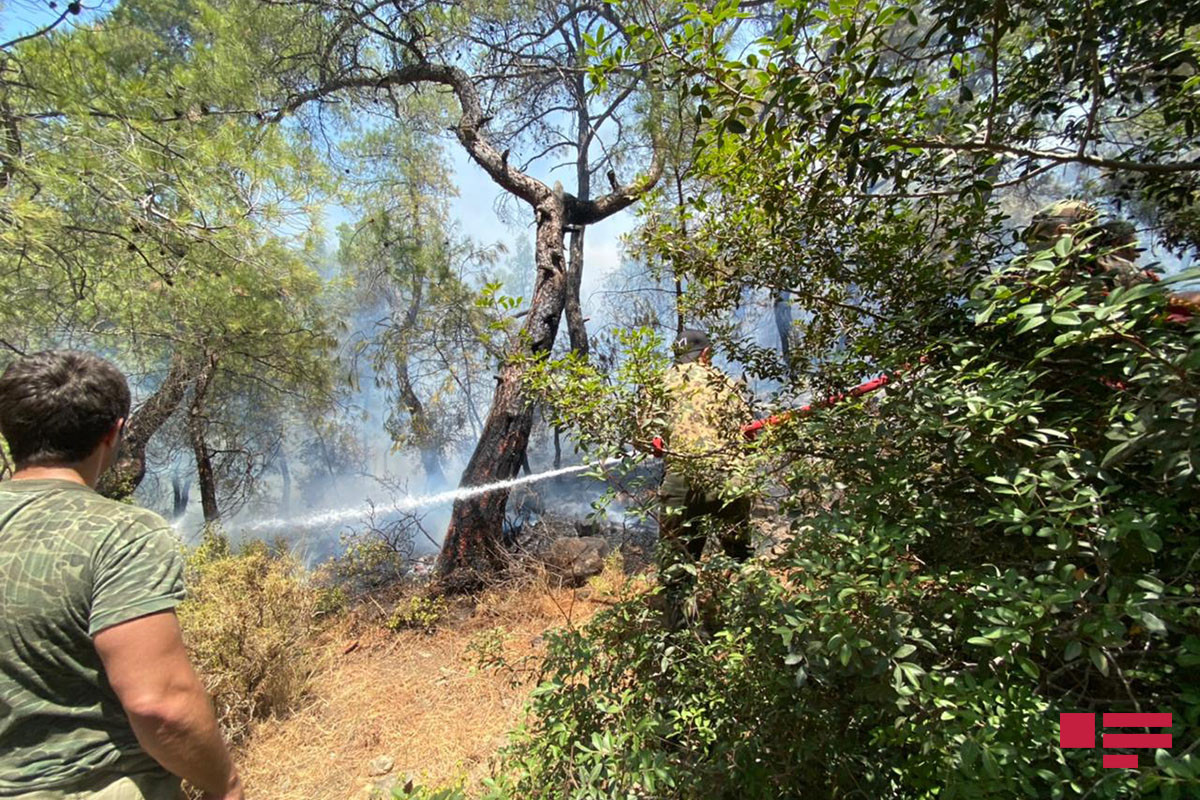 Азербайджанские пожарные в зоне пожаров в Турции – ФОТО с места происшествия 