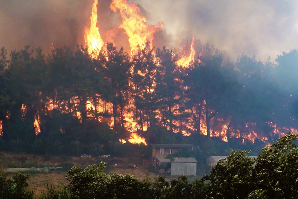 В Турции задержали российских туристов по подозрению в поджогах лесов