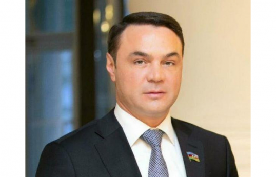 Депутат Эльданиз Салимов