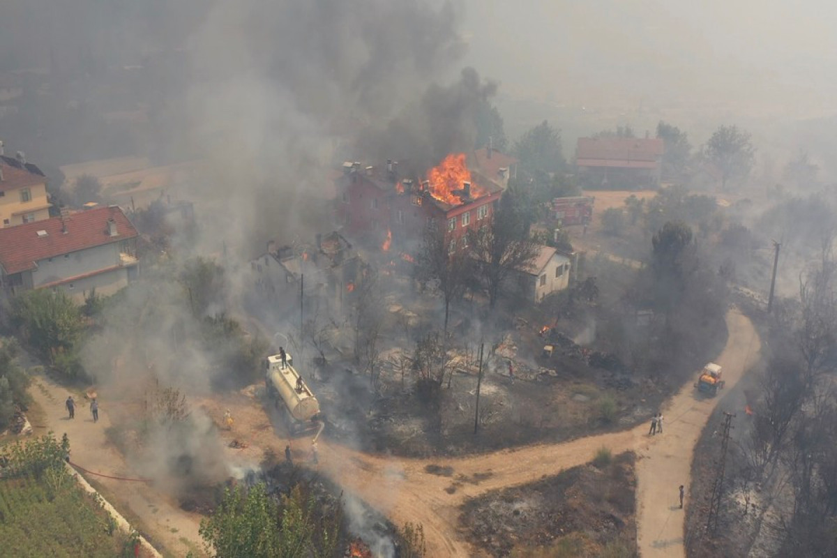 В Турции локализовали почти все лесные пожары