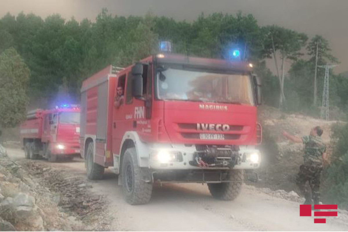 В Турции продолжаются лесные пожары