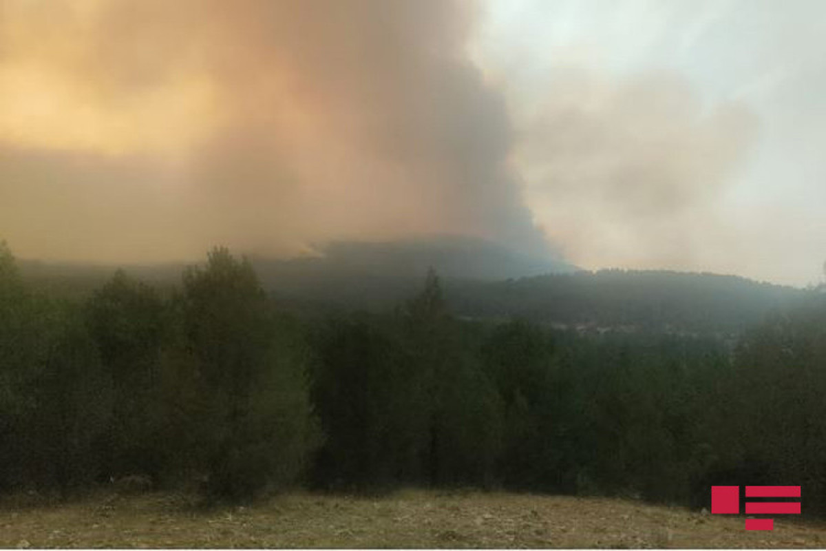 В Турции продолжаются лесные пожары