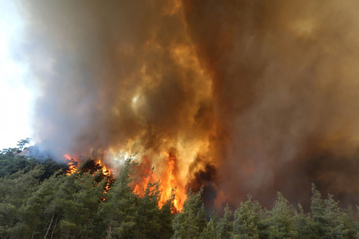 Азербайджанские пожарные продолжают тушить пожары в Турции-ВИДЕО 