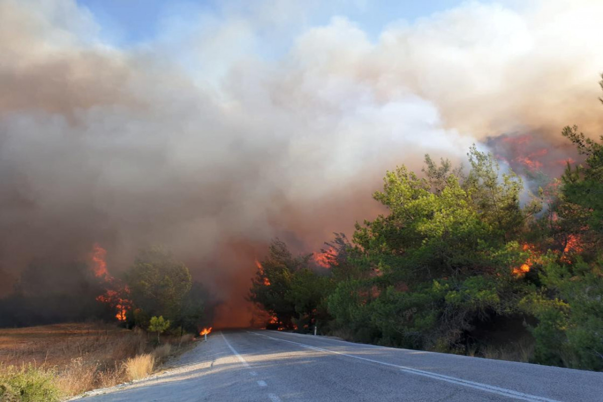 В Турции пожары продолжаются в 15 местах
