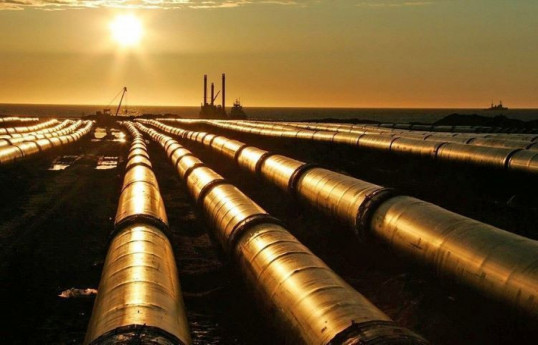 Обнародован объем нефти, транспортируемой по БТД в этом году