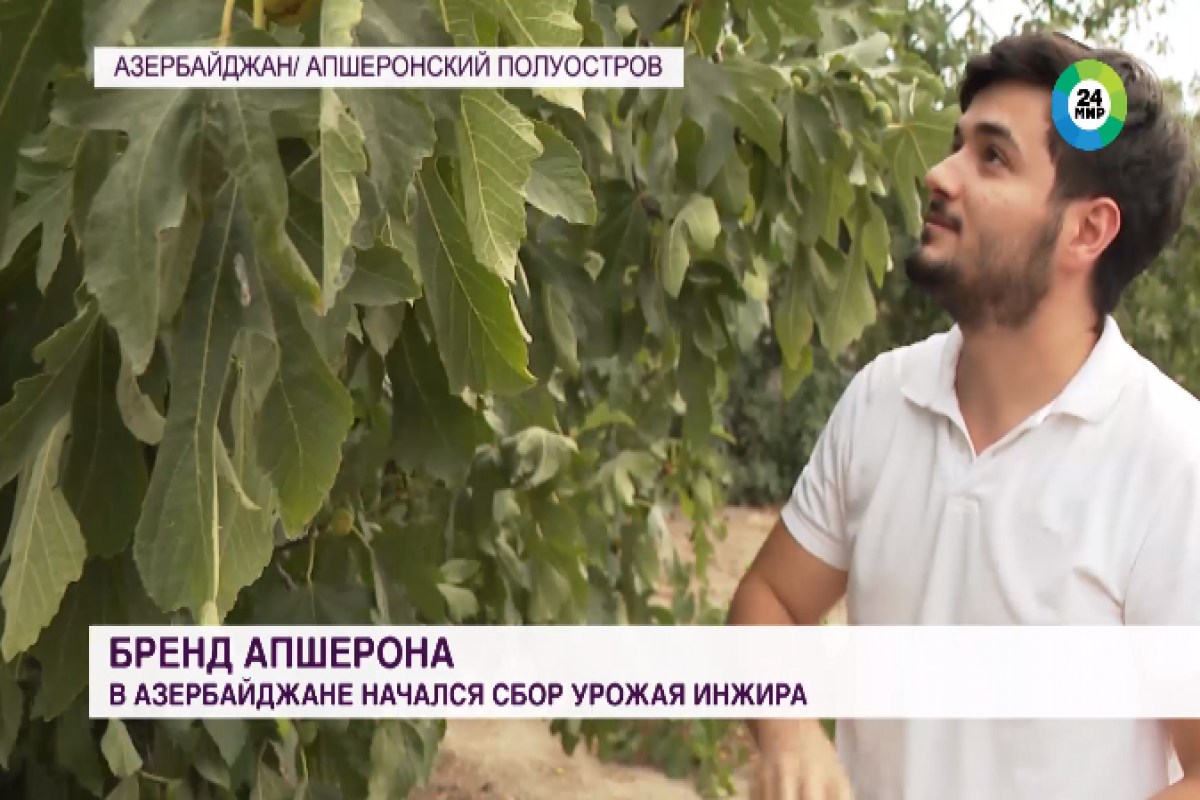 Телеканал «МИР» рассказал об азербайджанском студенте, который не боится ломать стереотипы