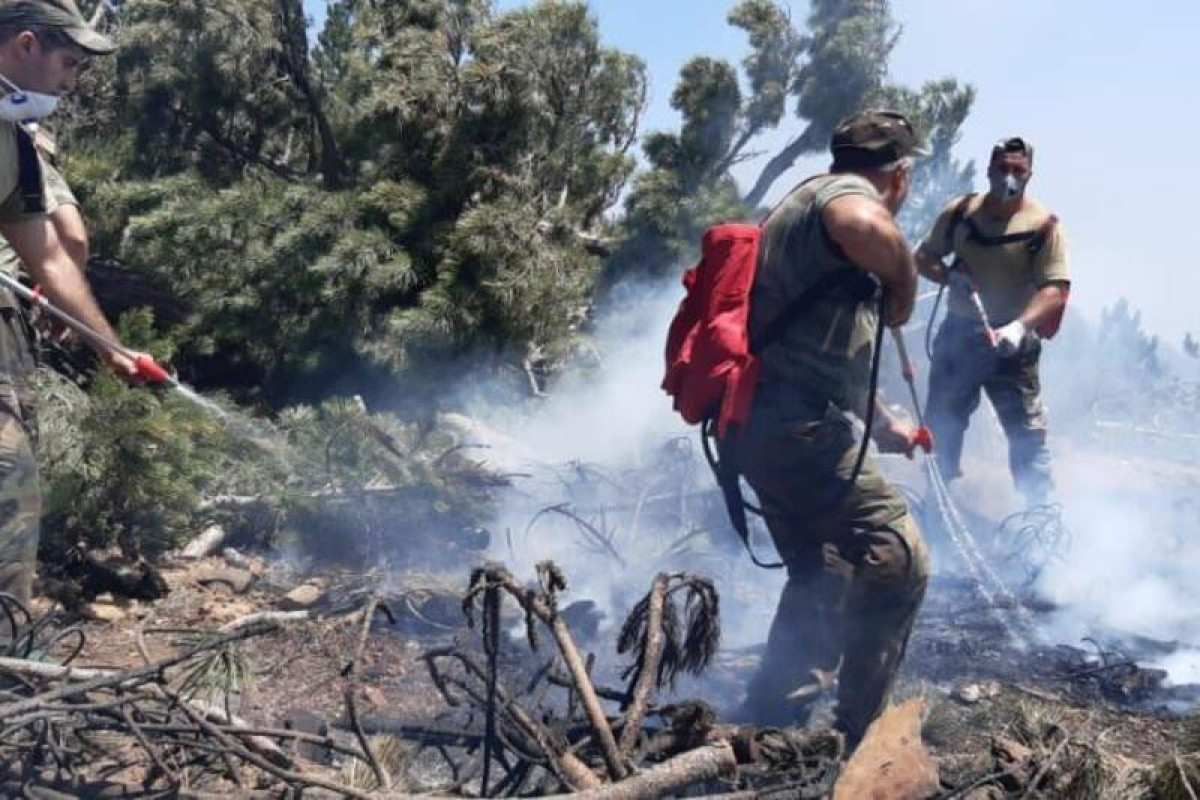 Награждены сотрудники МЧС Азербайджана, тушившие лесные пожары в Турции