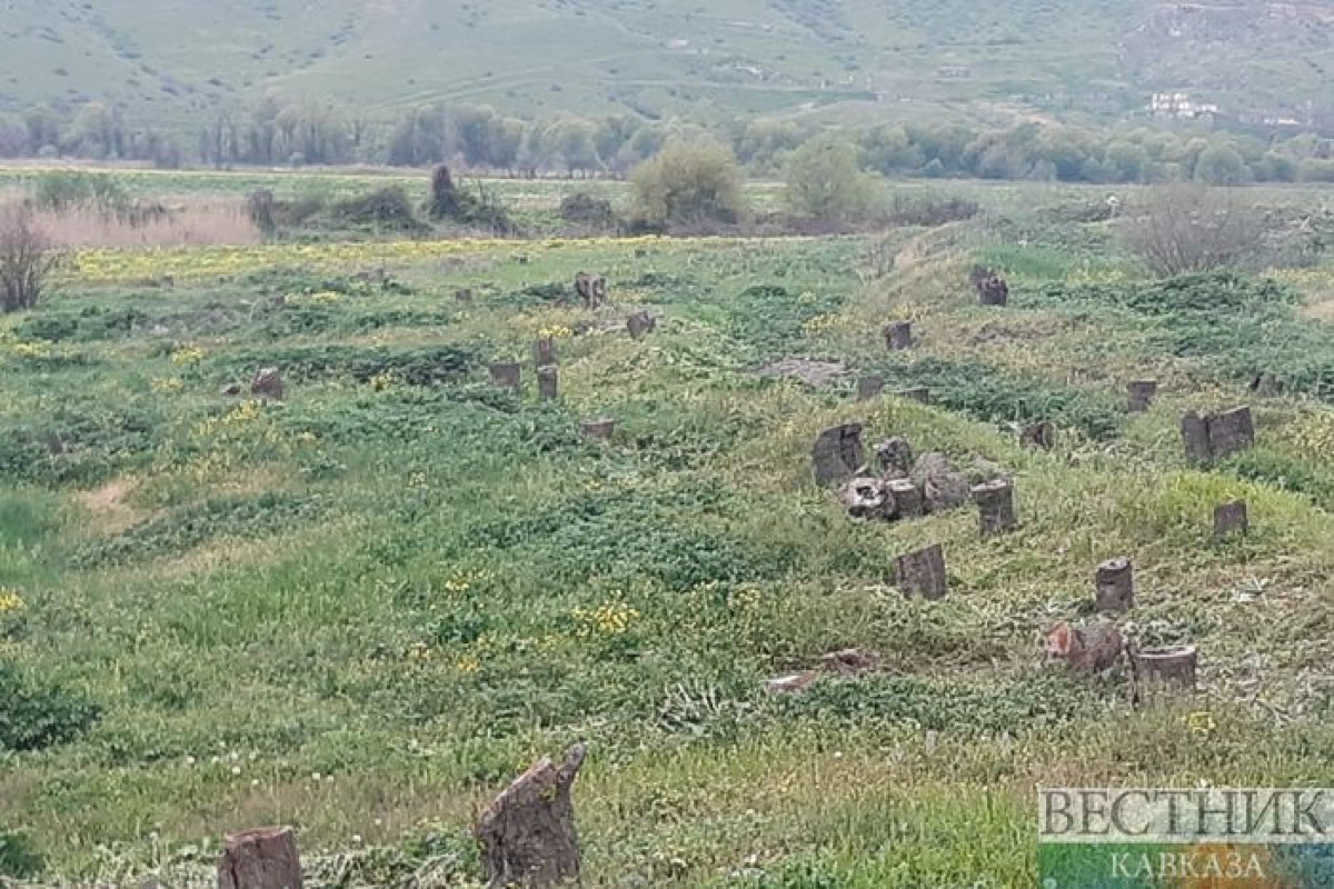 Brussels Morning:  "Хищническое поведение Армении в Карабахе окажет негативное влияние на жизнь миллионов людей"-ФОТО 