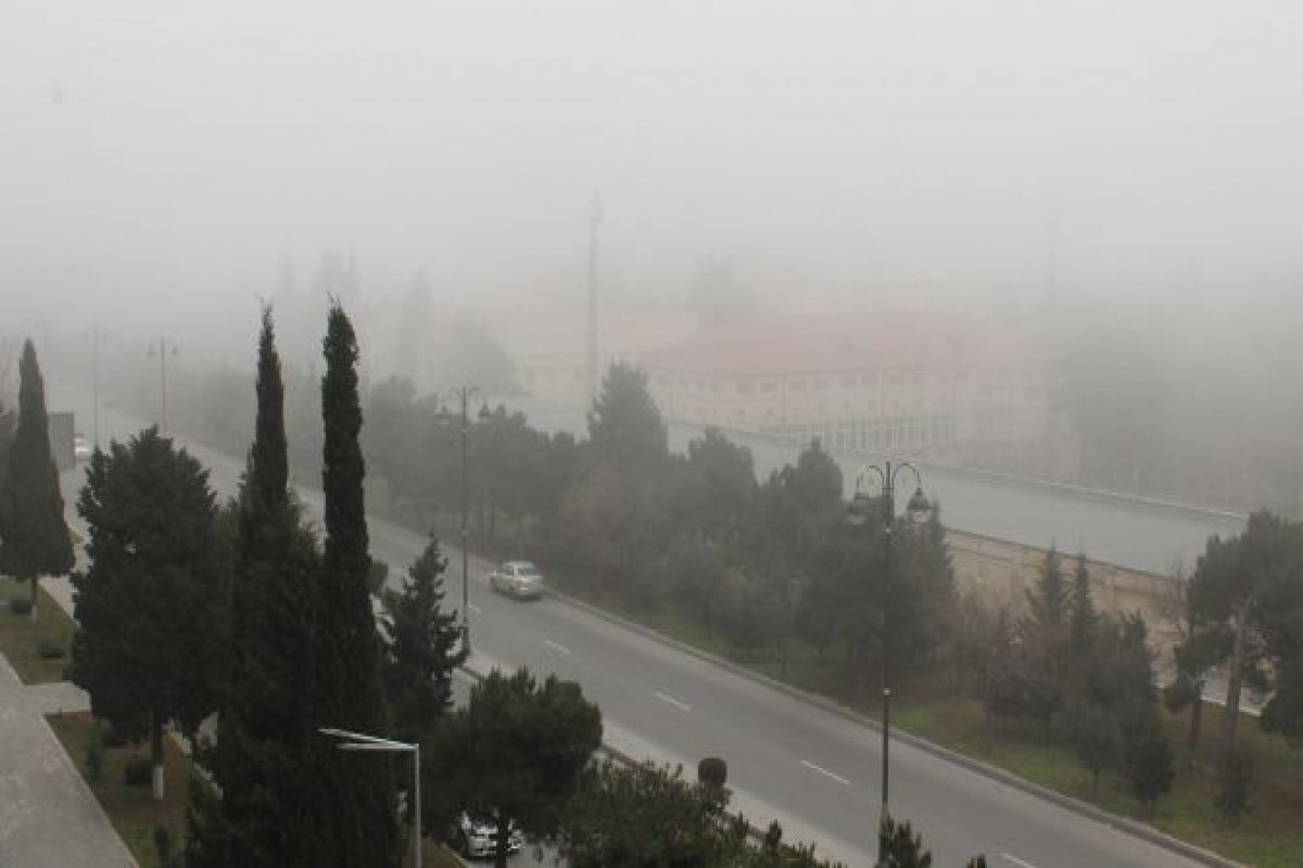 Завтра в Баку слабый туман и без осадков