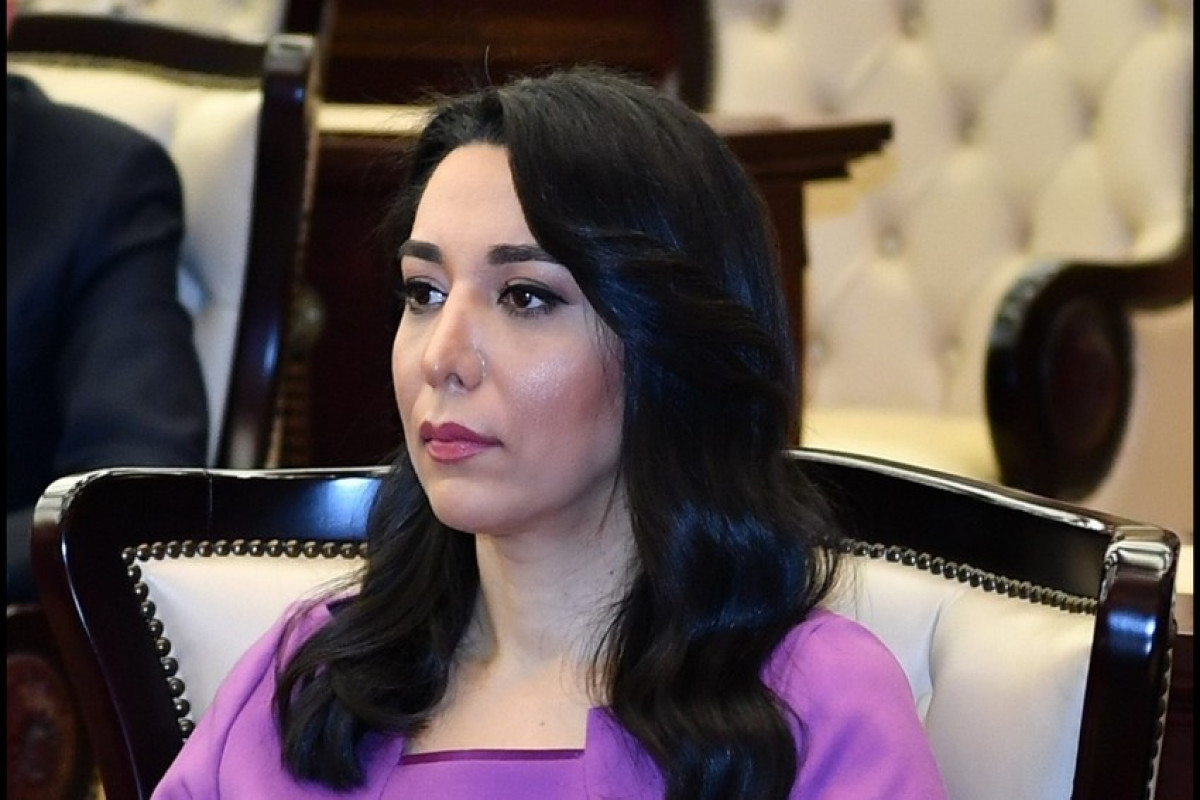 Омбудсмен Азербайджана прокомментировала решение Международного суда ООН
