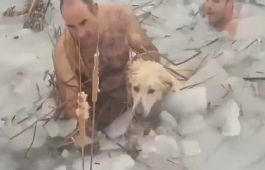 В Испании обнаженные полицейские залезли в ледяную воду ради спасения собаки-ВИДЕО 