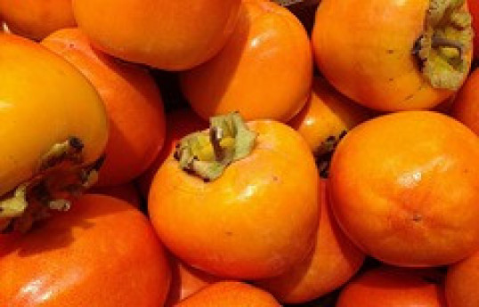 Врач назвала продукты для борьбы с депрессией
