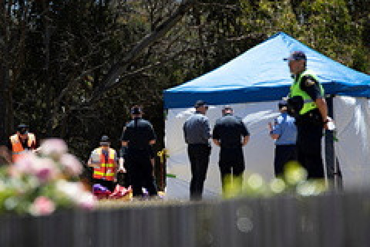 Четверо детей погибли из-за надувного замка в Австралии