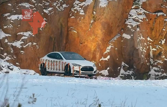 Манекен Илона Маска взорвали вместе с Tesla в Финляндии-ВИДЕО 