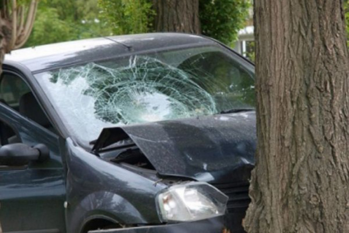 В Шеки Mercedes врезался в дерево, погиб один человек, еще один ранен