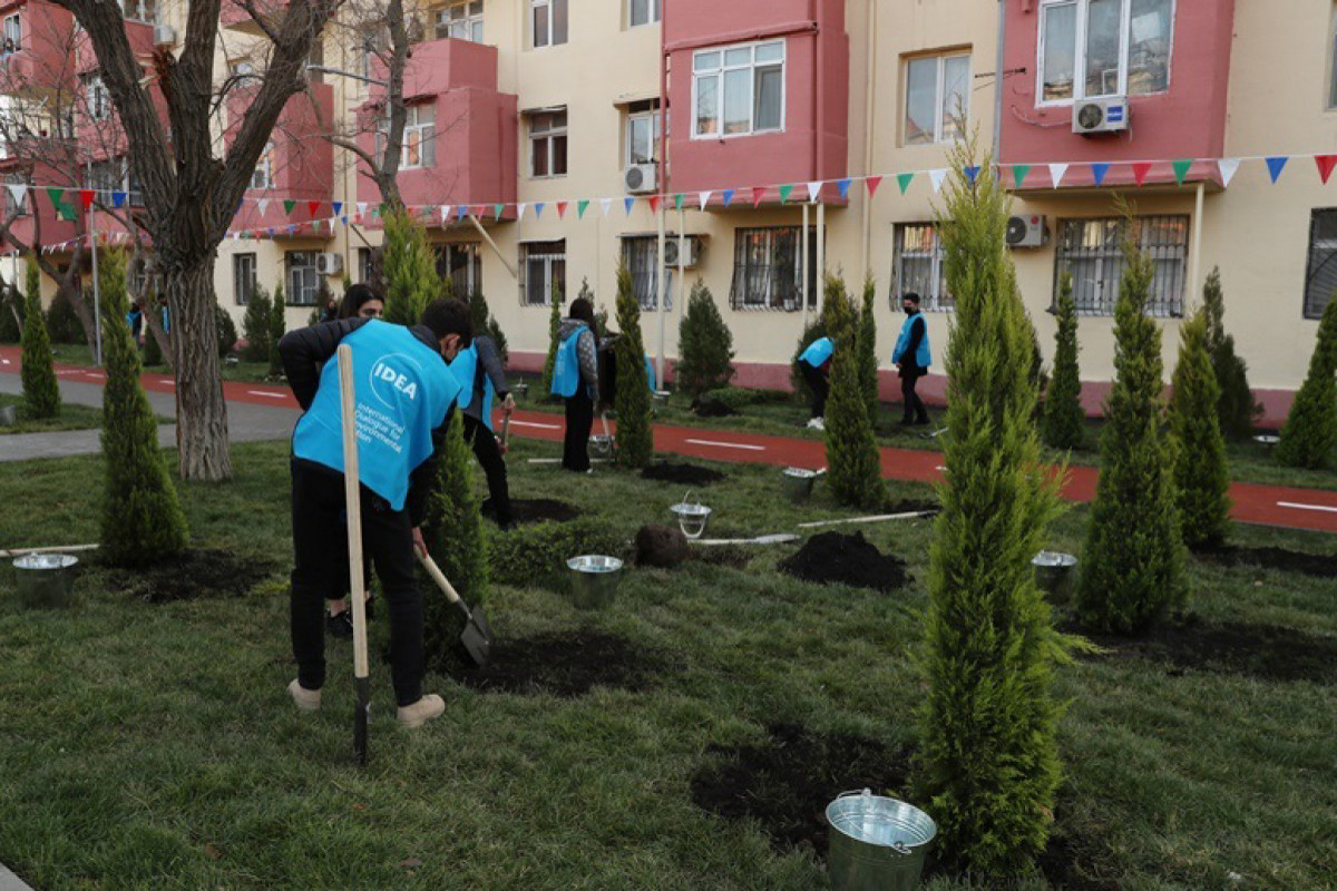 Лейла Алиева приняла участие в церемонии открытия очередного благоустроенного двора в Баку-ФОТО 