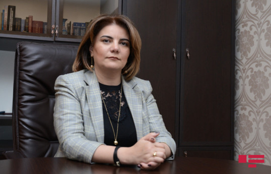 Вюсаля Махиргызы: С принятием нового закона мы добьемся перехода к этапу формирования компаний в медиа-сфере