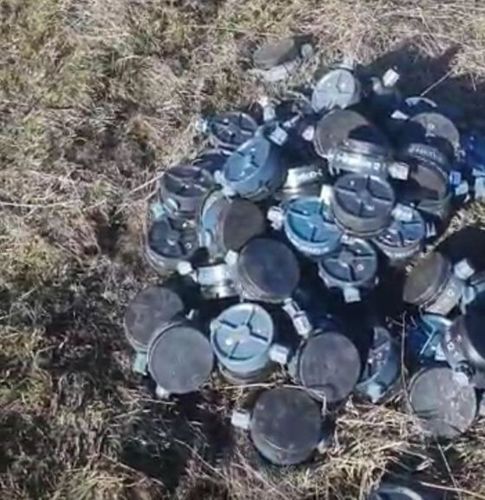 В Губадлинском районе обезврежены 120 противопехотных мин