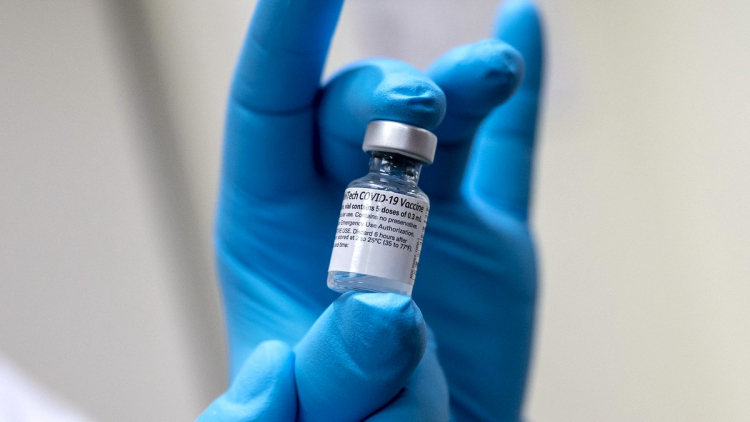 Кто в Азербайджане будет вакцинирован от коронавируса на дому? – ВРАЧ РАЗЪЯСНИЛ ПРОЦЕДУРУ

