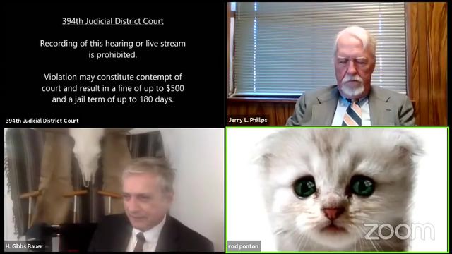 Адвокат из Техаса пережил казус и провел онлайн заседание суда с лицом кота - ВИДЕО