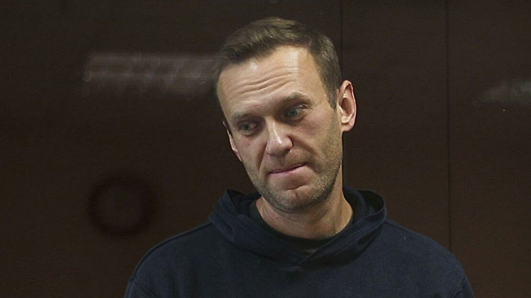 Россия не стала оспаривать решение ЕСПЧ о компенсациях Навальному
