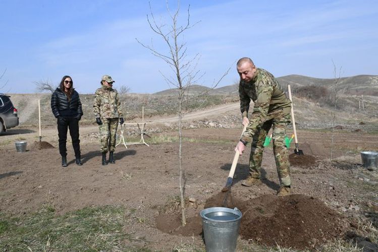 Ильхам Алиев: Началось восстановление Беситчайского природного заповедника