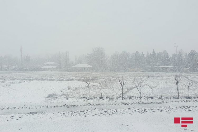 Дожди, снег и морозы - ФАКТИЧЕСКАЯ ПОГОДА В АЗЕРБАЙДЖАНЕ 