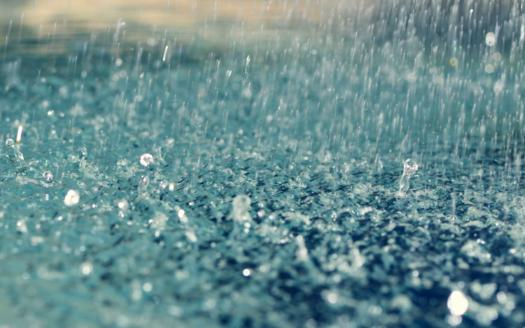 В Азербайджане разрабатывается законопроект об использовании дождевой воды