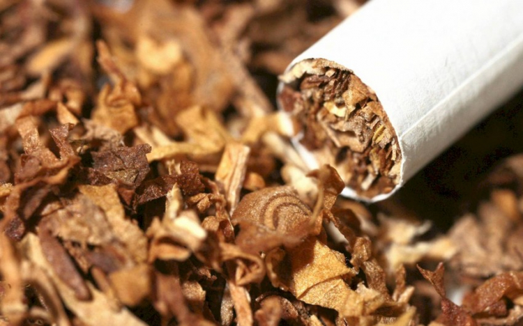 Азербайджан резко сократил экспорт табака 
