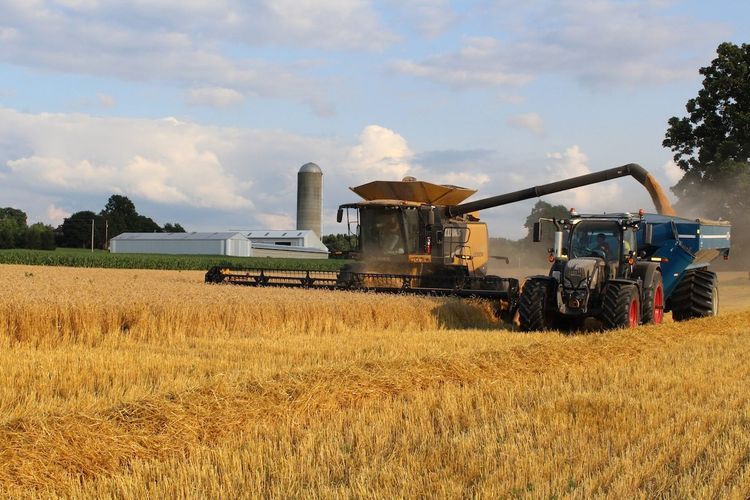 Азербайджан увеличит производство пшеницы в 2021-2024 годах