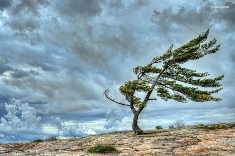 Завтра в Баку ожидается сильный ветер