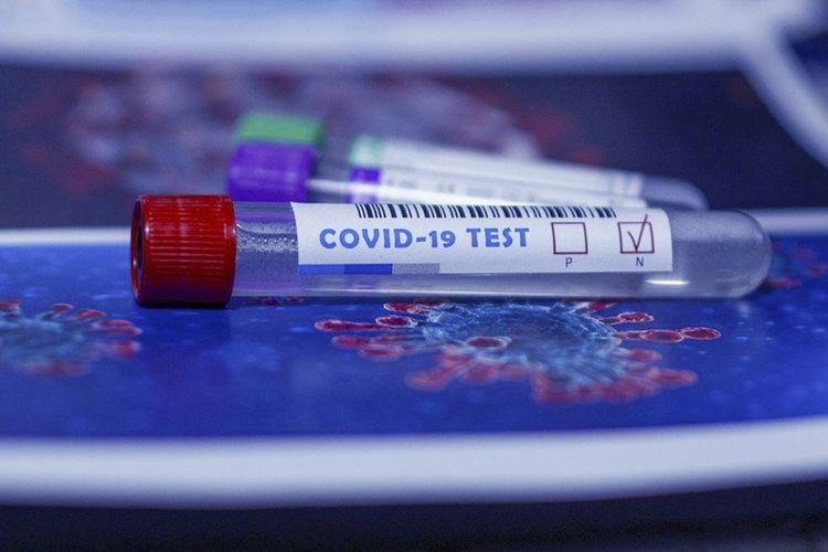 Британский штамм коронавируса обнаружен в 25 европейских странах
