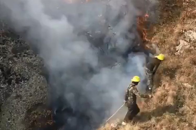 Продолжаются работы по тушению пожара в Гирканском национальном парке - ВИДЕО