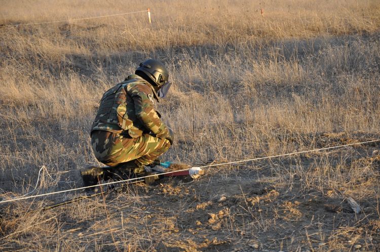 Азербайджанские и российские пиротехники очистили от мин более 5 гектаров территории - ФОТО - ВИДЕО