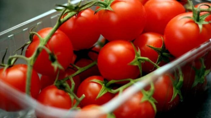Россия частично сняла запрет на ввоз томатов и перцев из Казахстана
