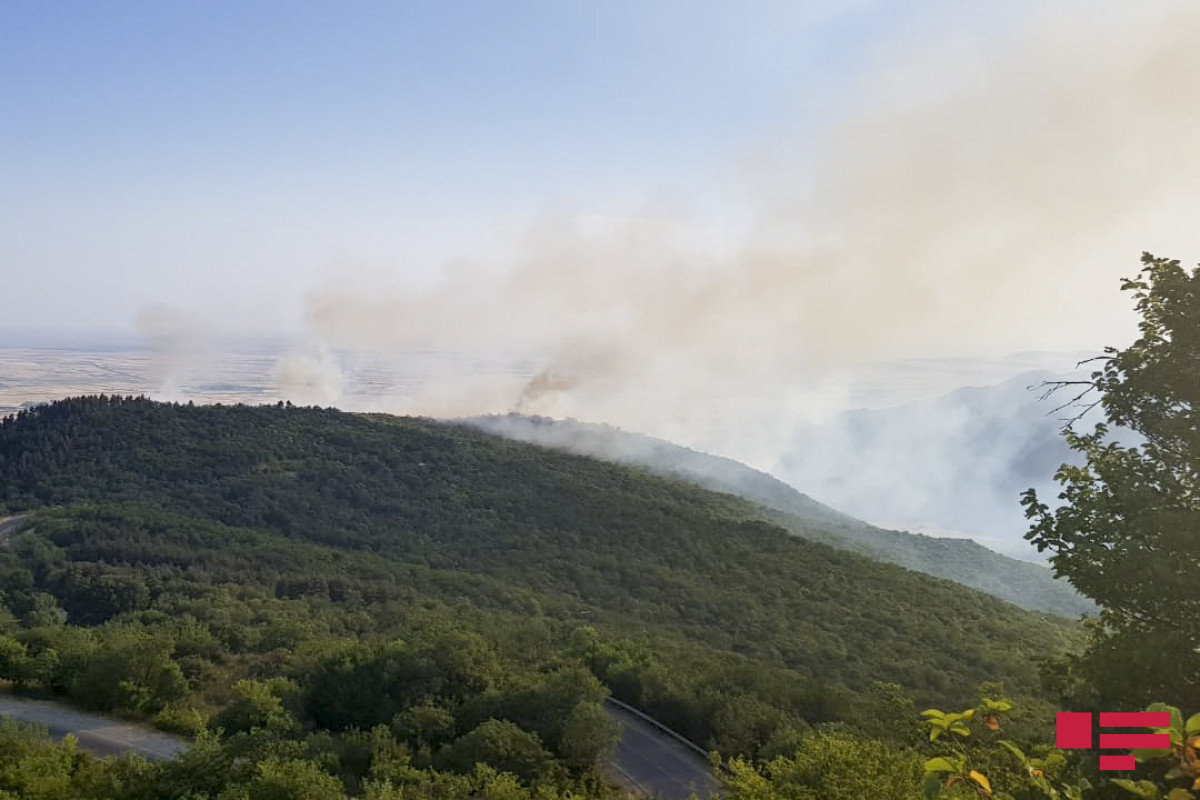В Физули, на заминированном противником участке лесополосы произошел пожар