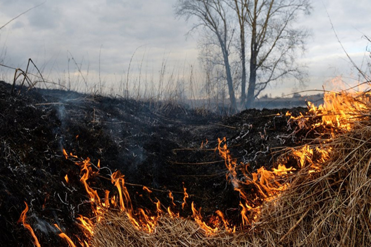 МЧС Азербайджана тушит пожар на заминированной территории в Карабахе -ВИДЕО 