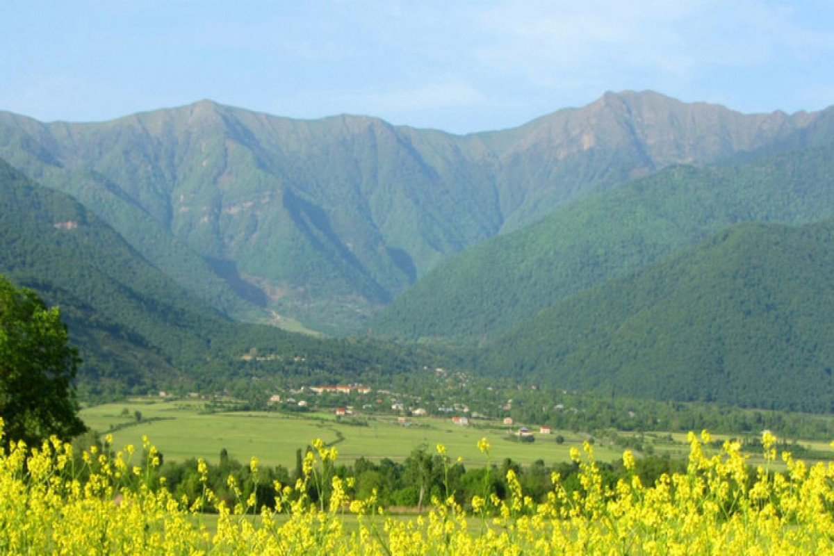 В Азербайджане 658 гектаров земли были возвращены в лесной фонд